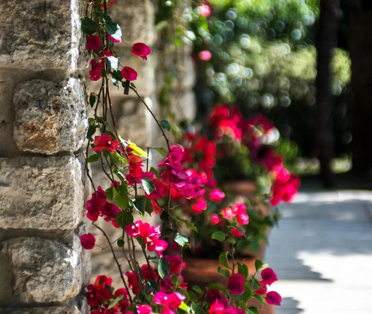 Augustus Hotel & Resort Forte dei Marmi Italy